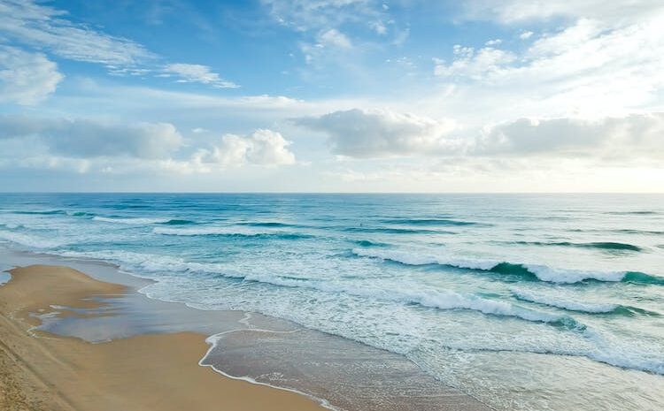 Ecoplayas